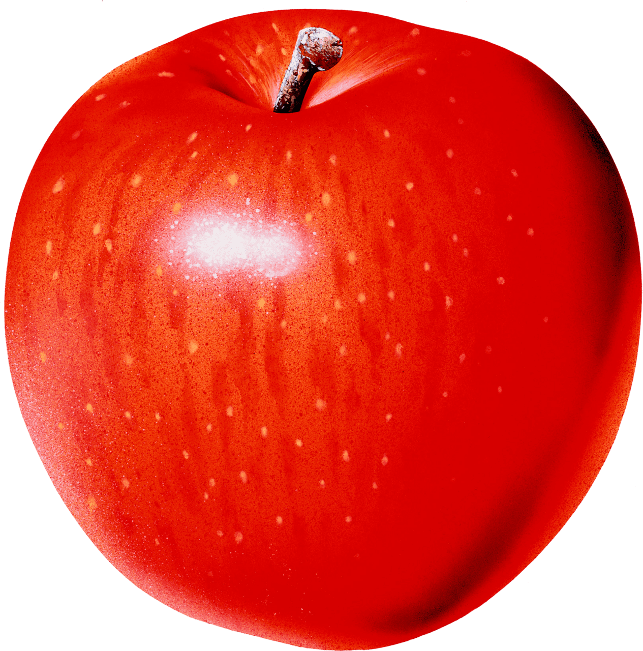 Red apple image for clipart