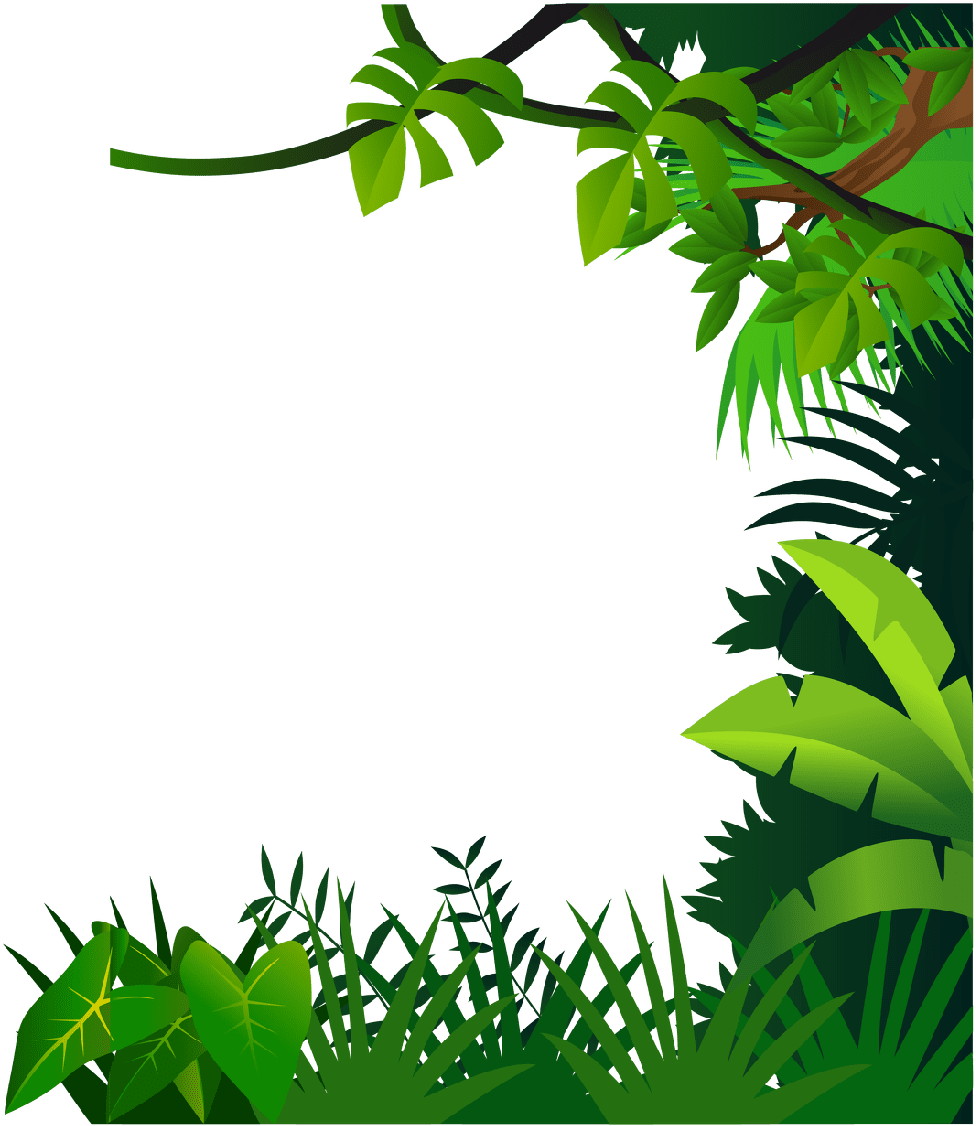 Leaf vegetation draw jungle plant frame clipart full size see image