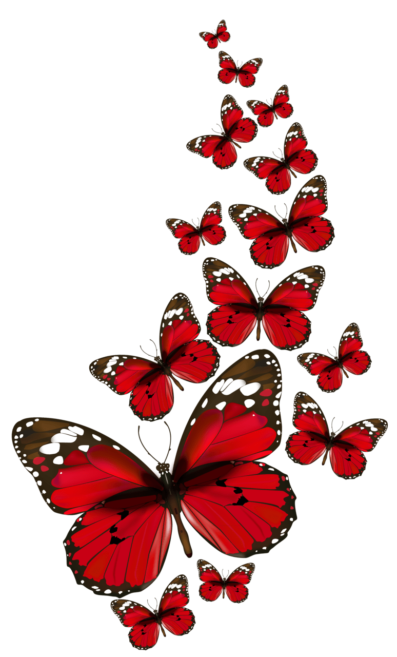 Red butterflies vector clipart butterfly pictures art