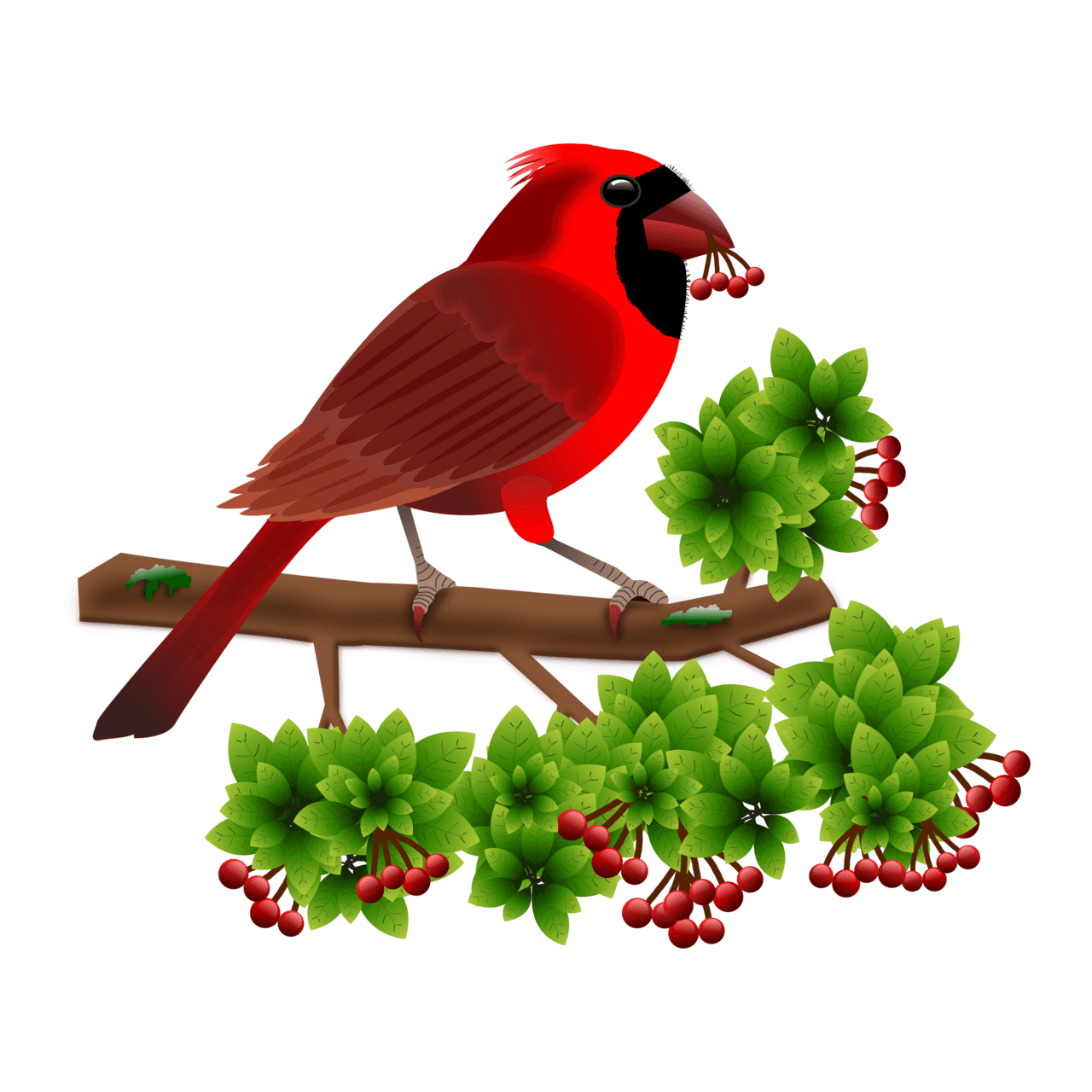 Bird pin page clipart clip art 4