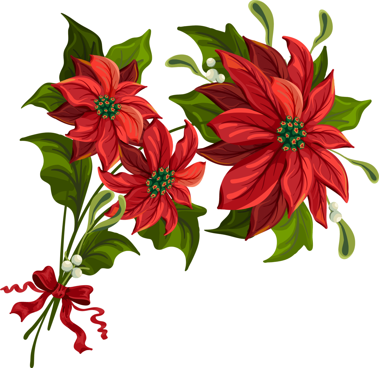 Flowers christmas poinsettia clipart picture