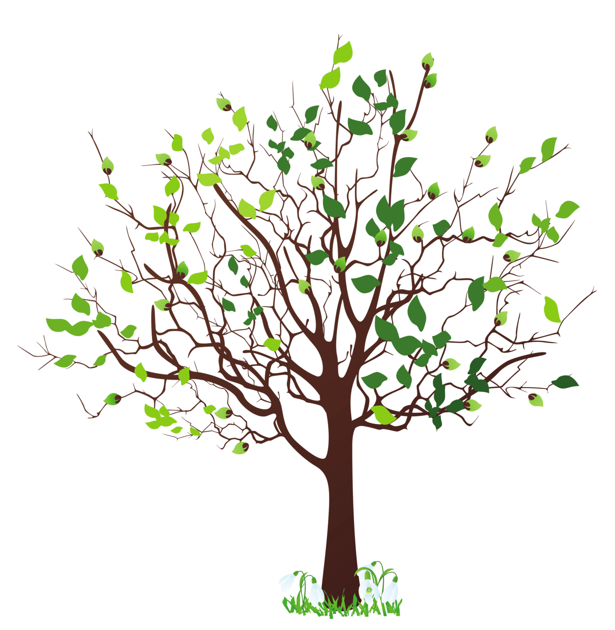 Spring tree with snowdrops clipart picture