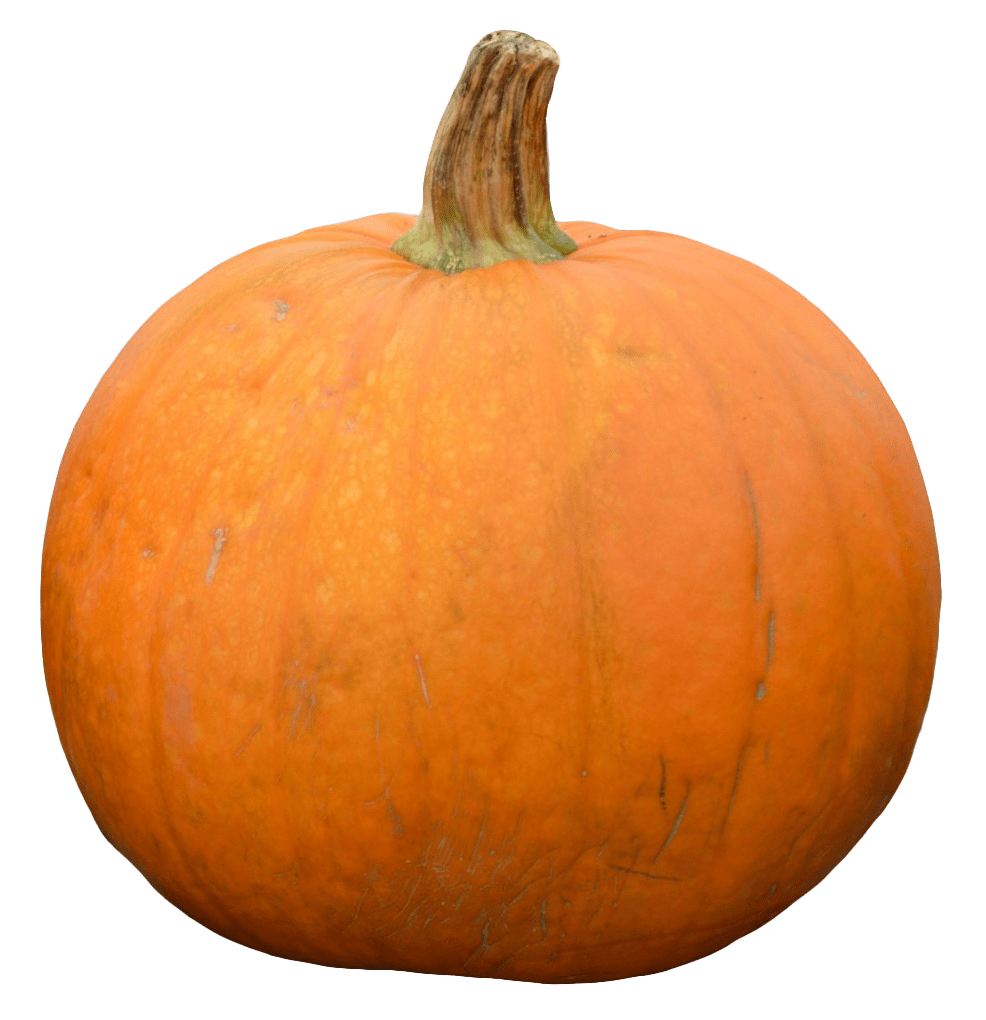 Pumpkin pumpk clipart background 2