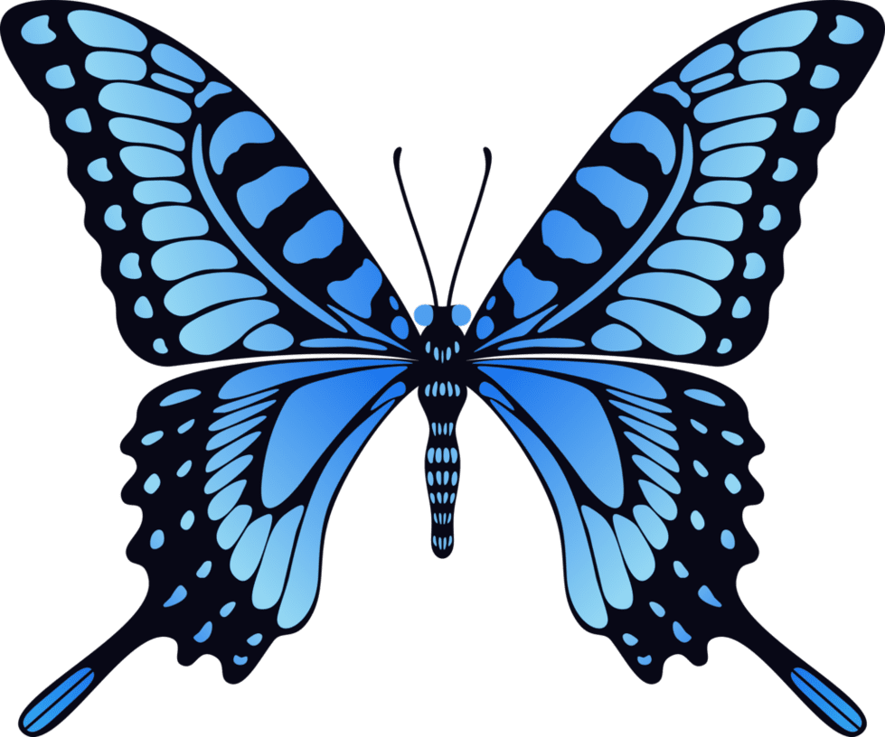 Butterfly clipart picture 2