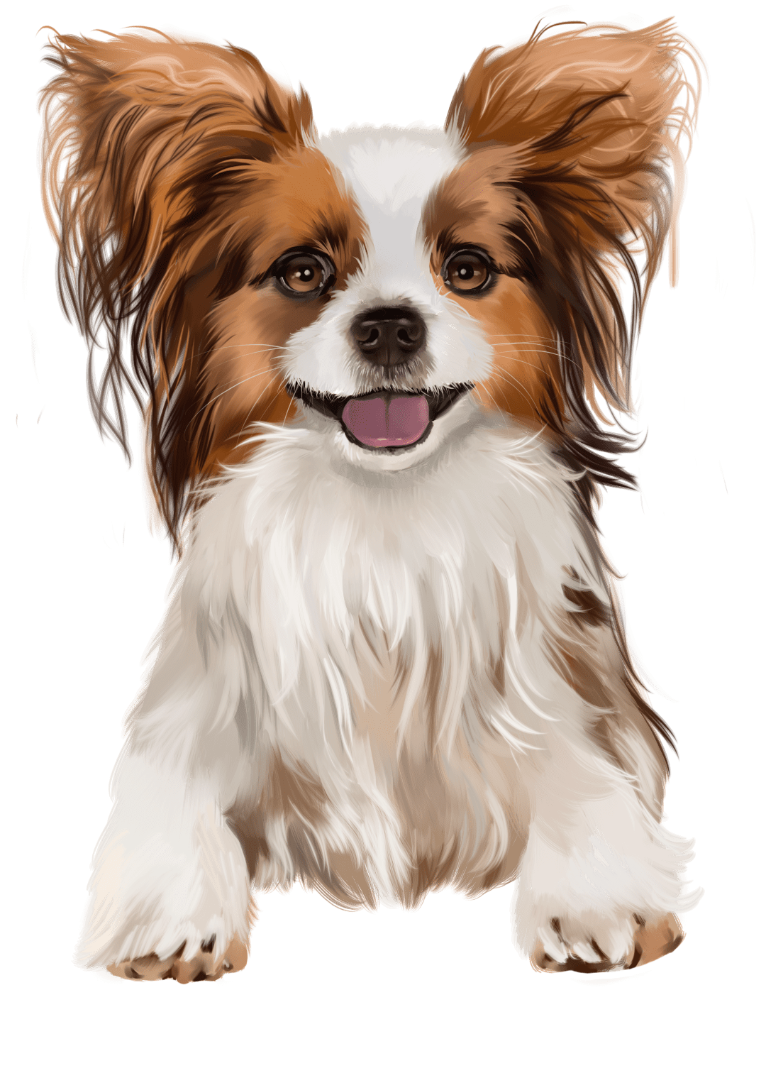 Dog pin page clipart photo