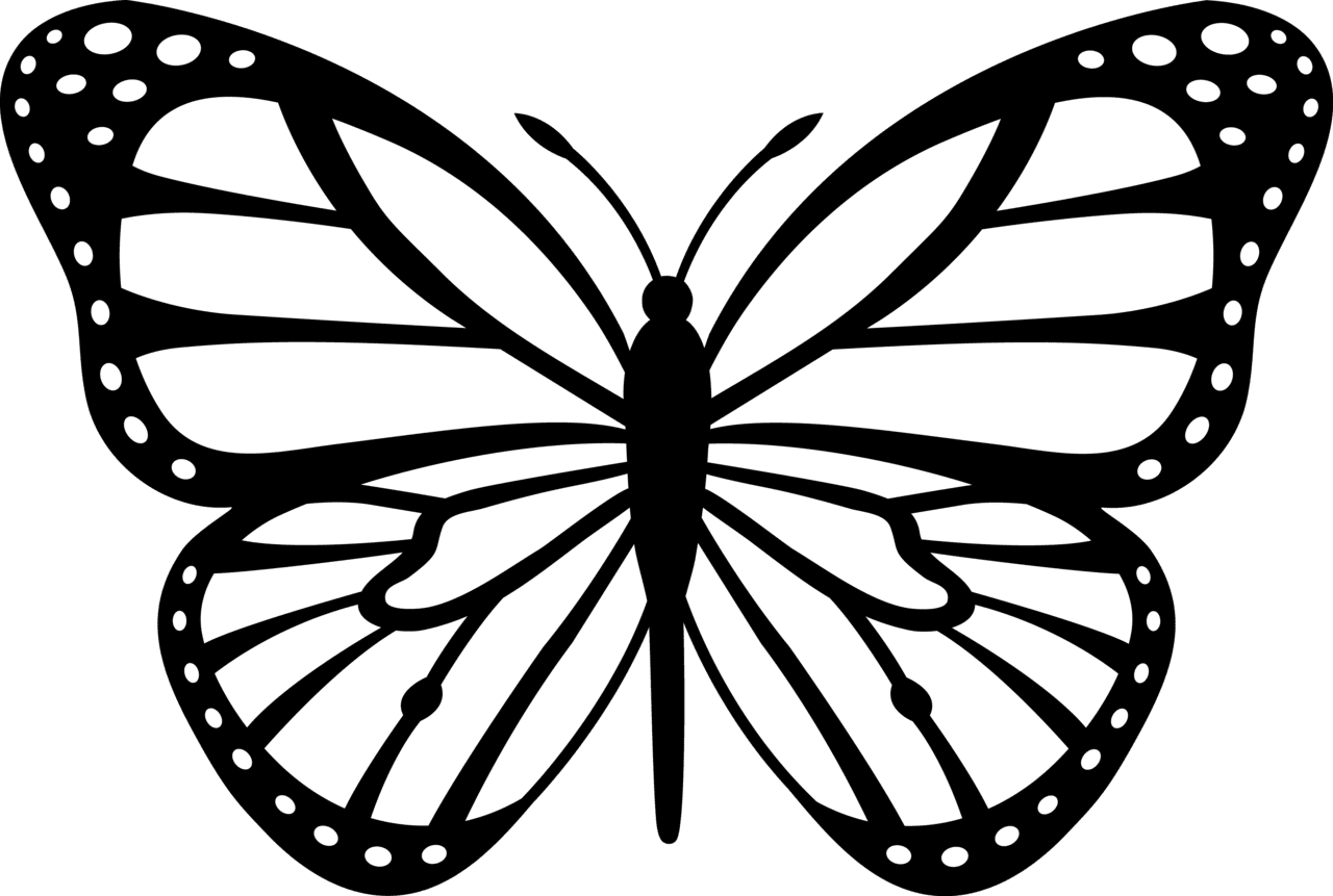 Butterfly outline picture clipart to use resource coloring nation pages