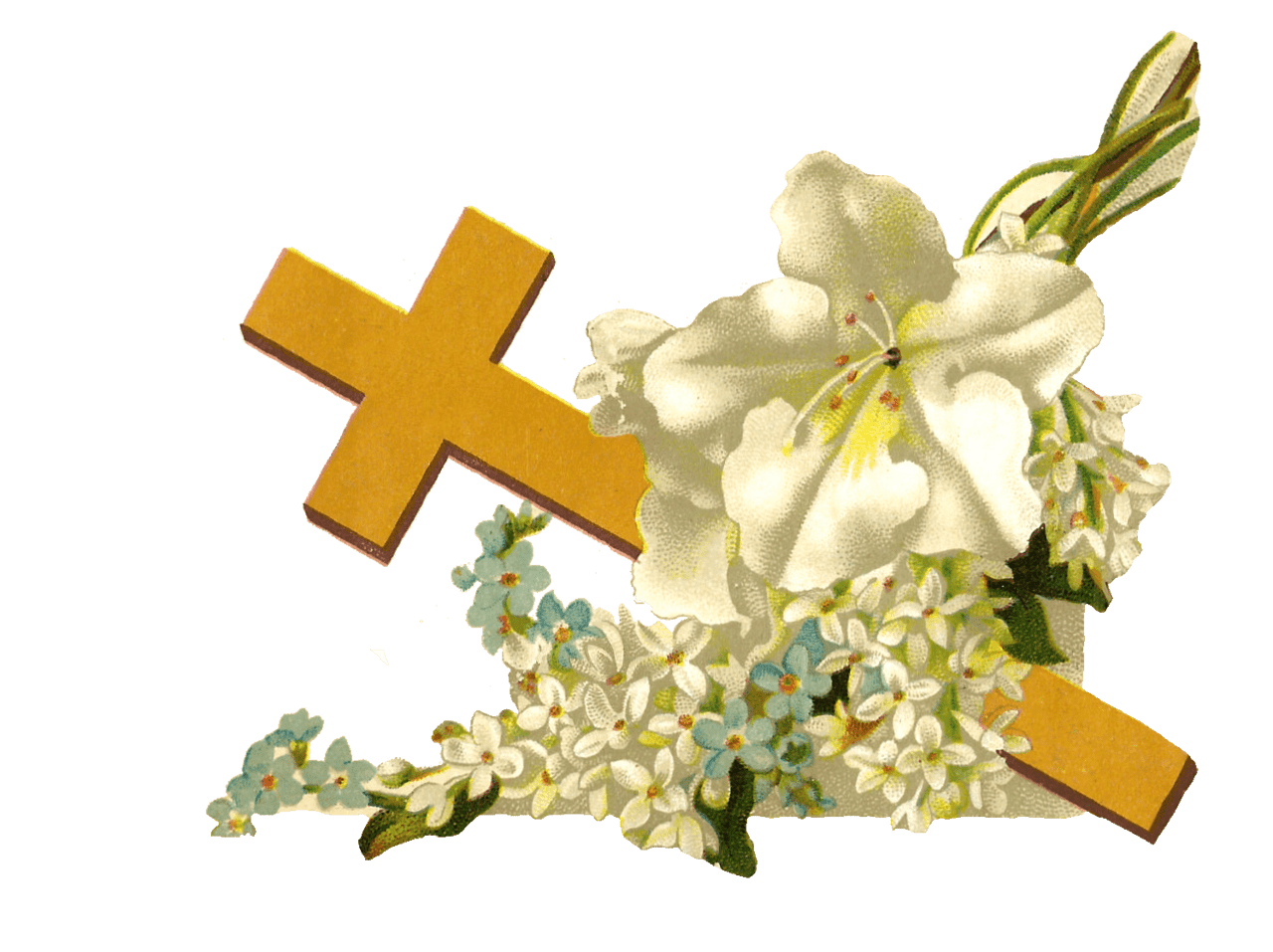 Religious clipart gold cross and white flowers graphic logo