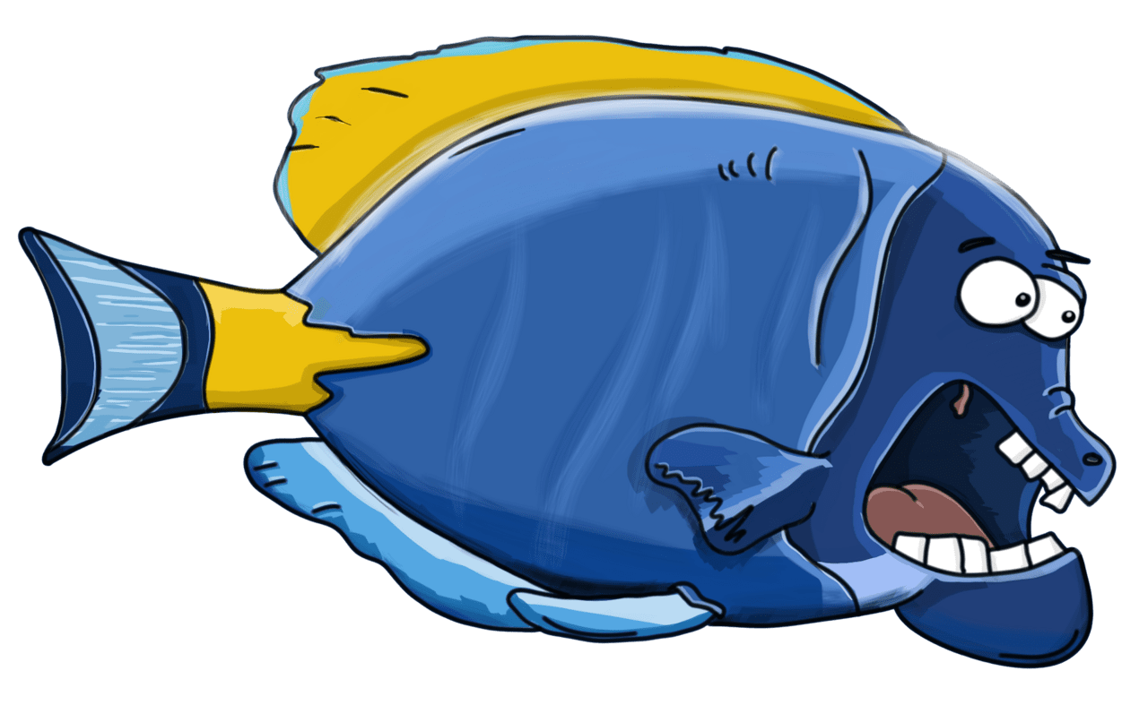 Funny fish clipart transparent