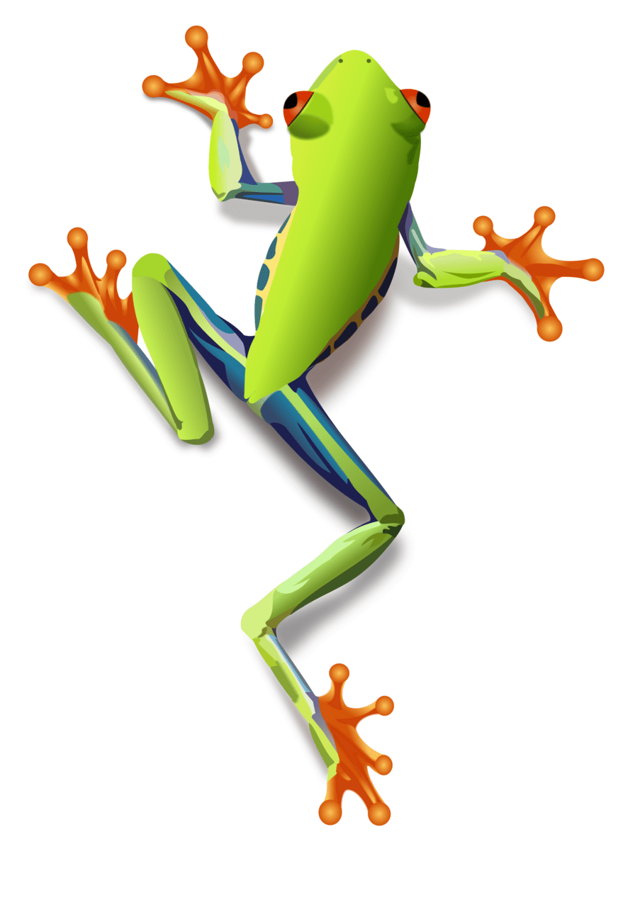 Tree frog clipart picture