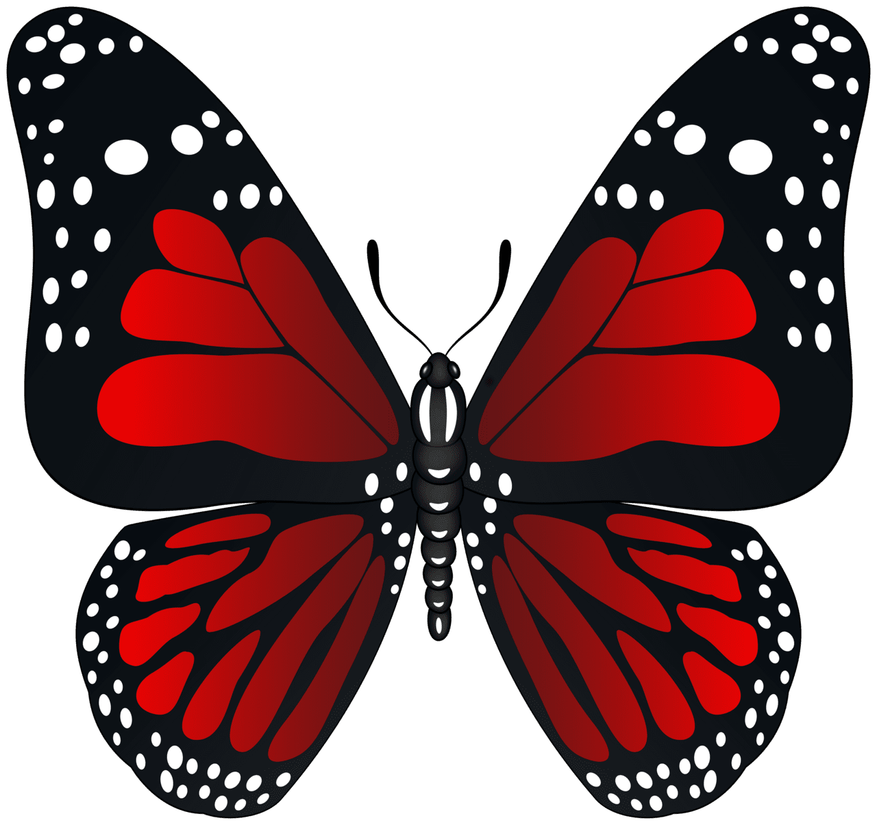 Red butterfly image clipart