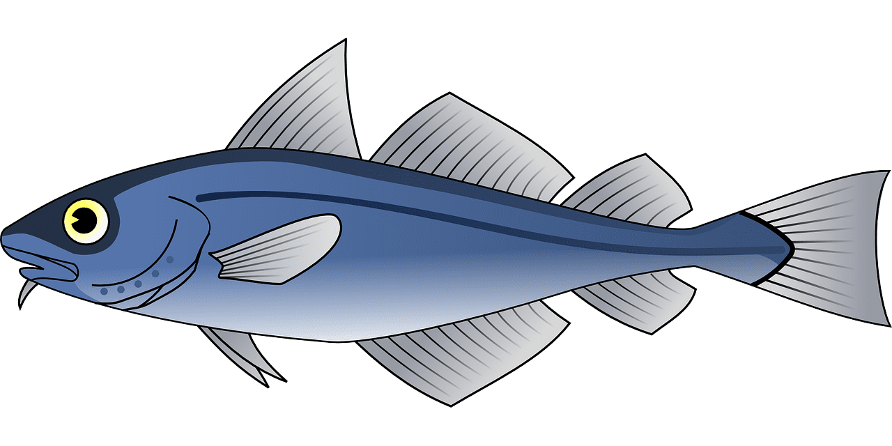 Food fish tuna blue sea seafood drawing images drawings vector clipart