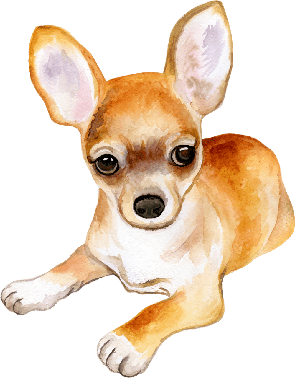 Dog pin page clipart image 2