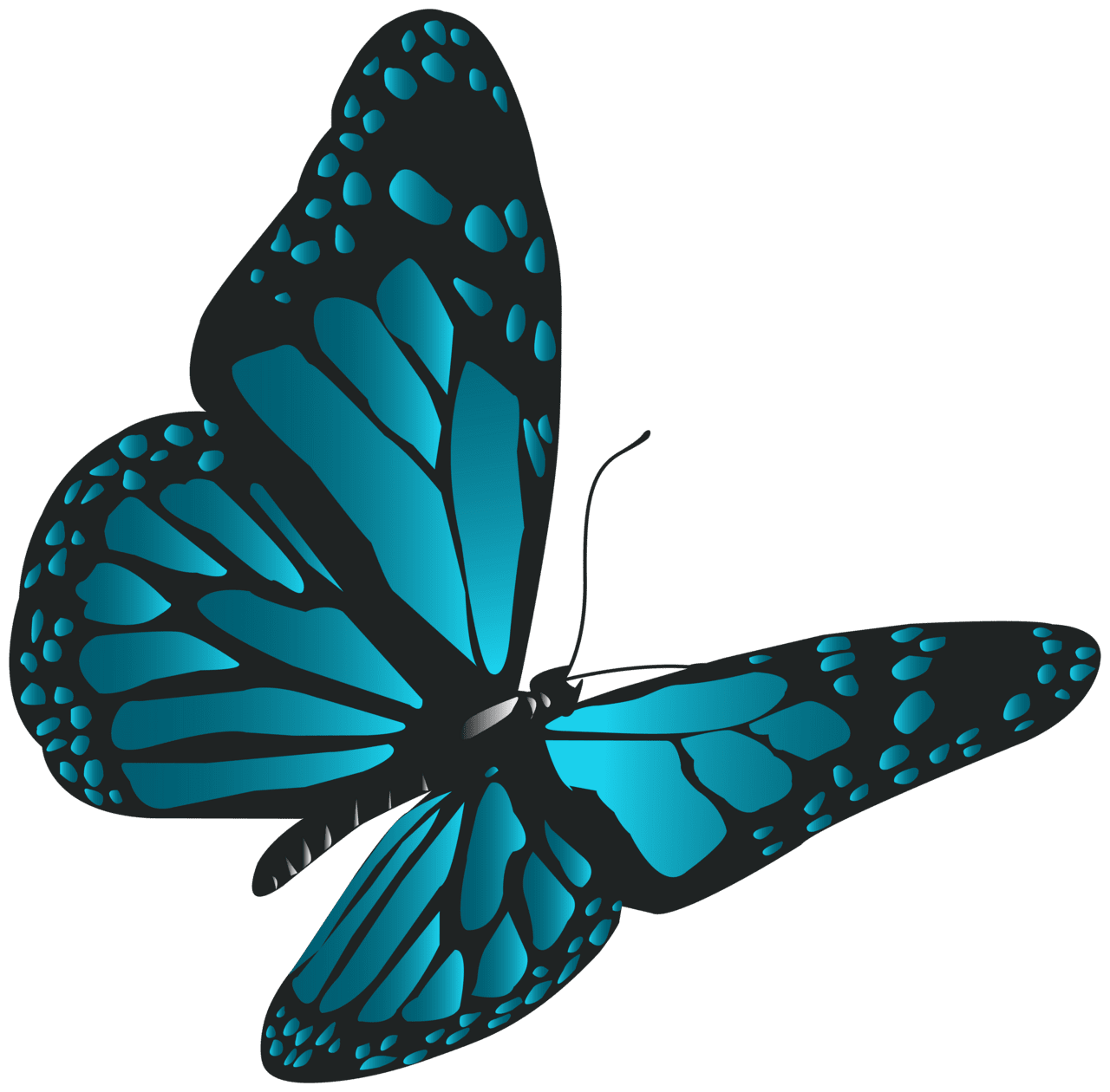 Blue butterfly clipart free