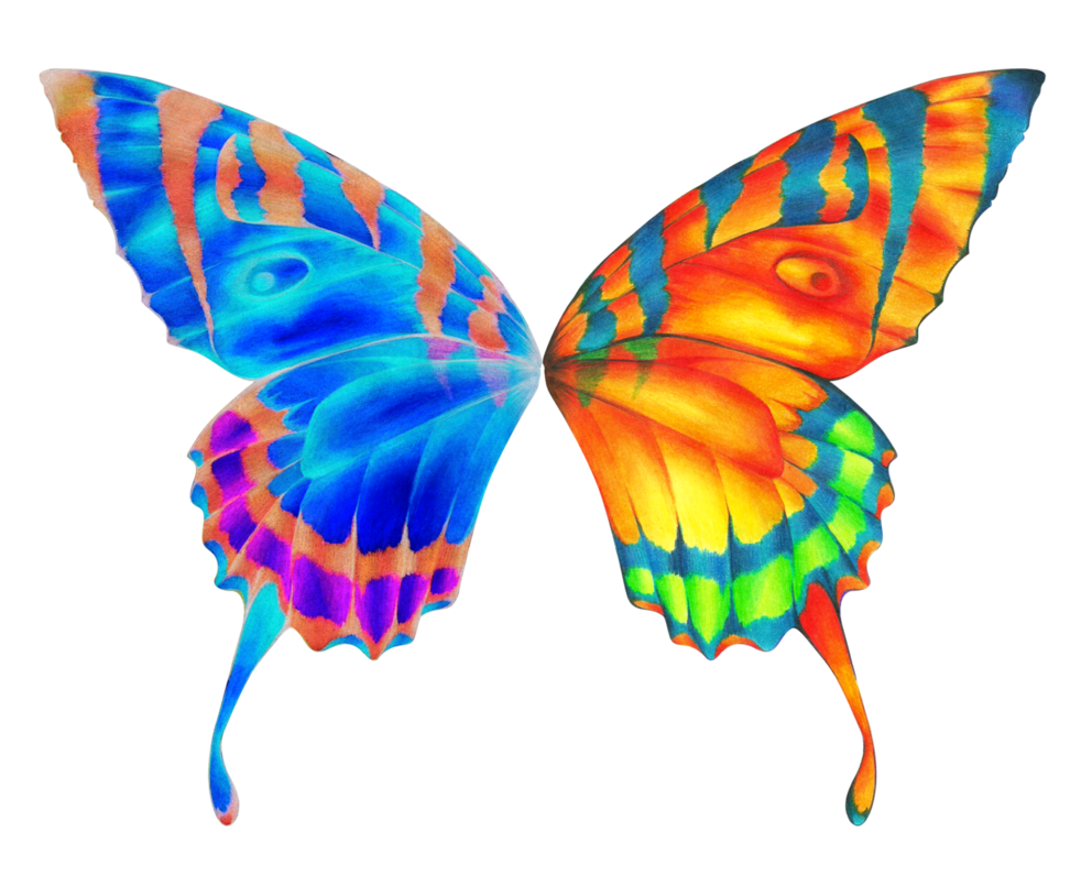 Butterfly wings by moonaftermidnight deviantart pictures clipart