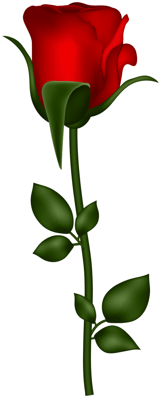 Red rose art clipart yopriceville high quality images and flower