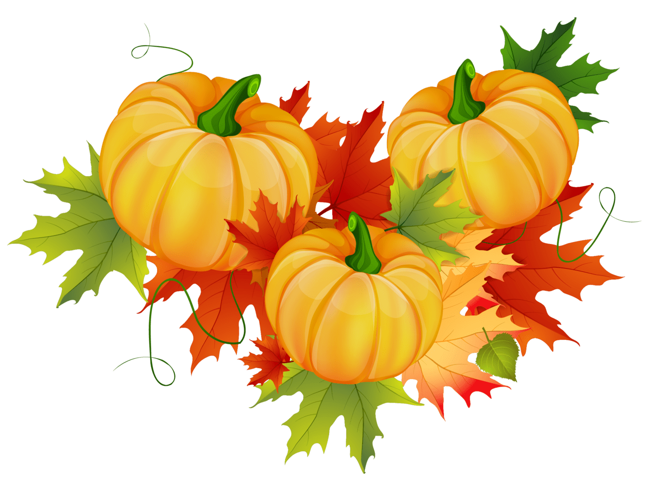 Thanksgiving pumpkin decoration clipart logo