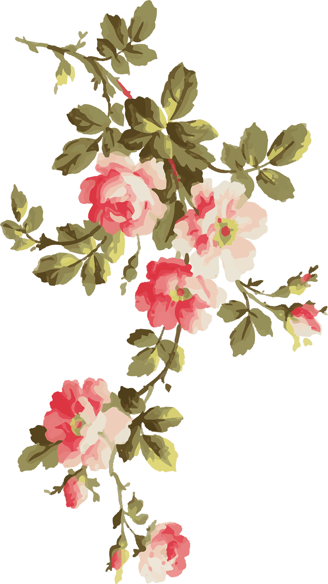 Colorful flower clipart set vector