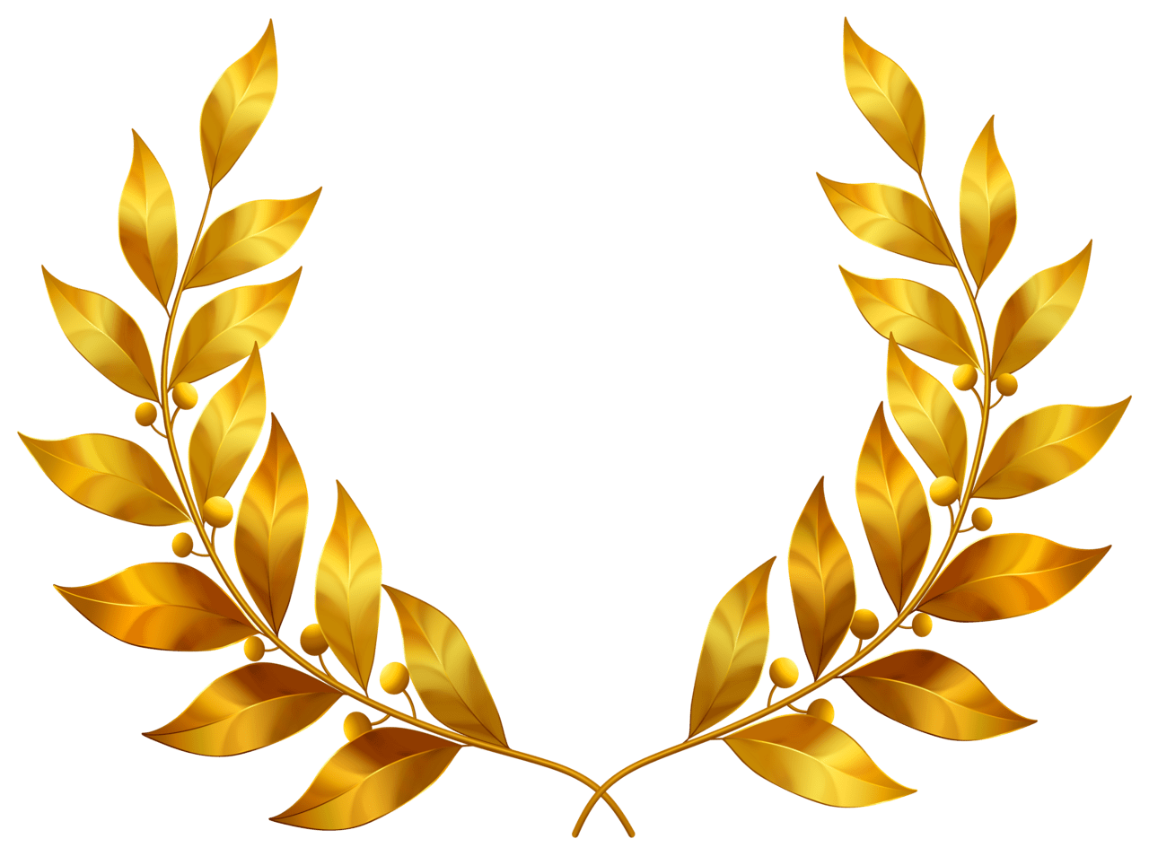 Leaf laurel leaves clipart image