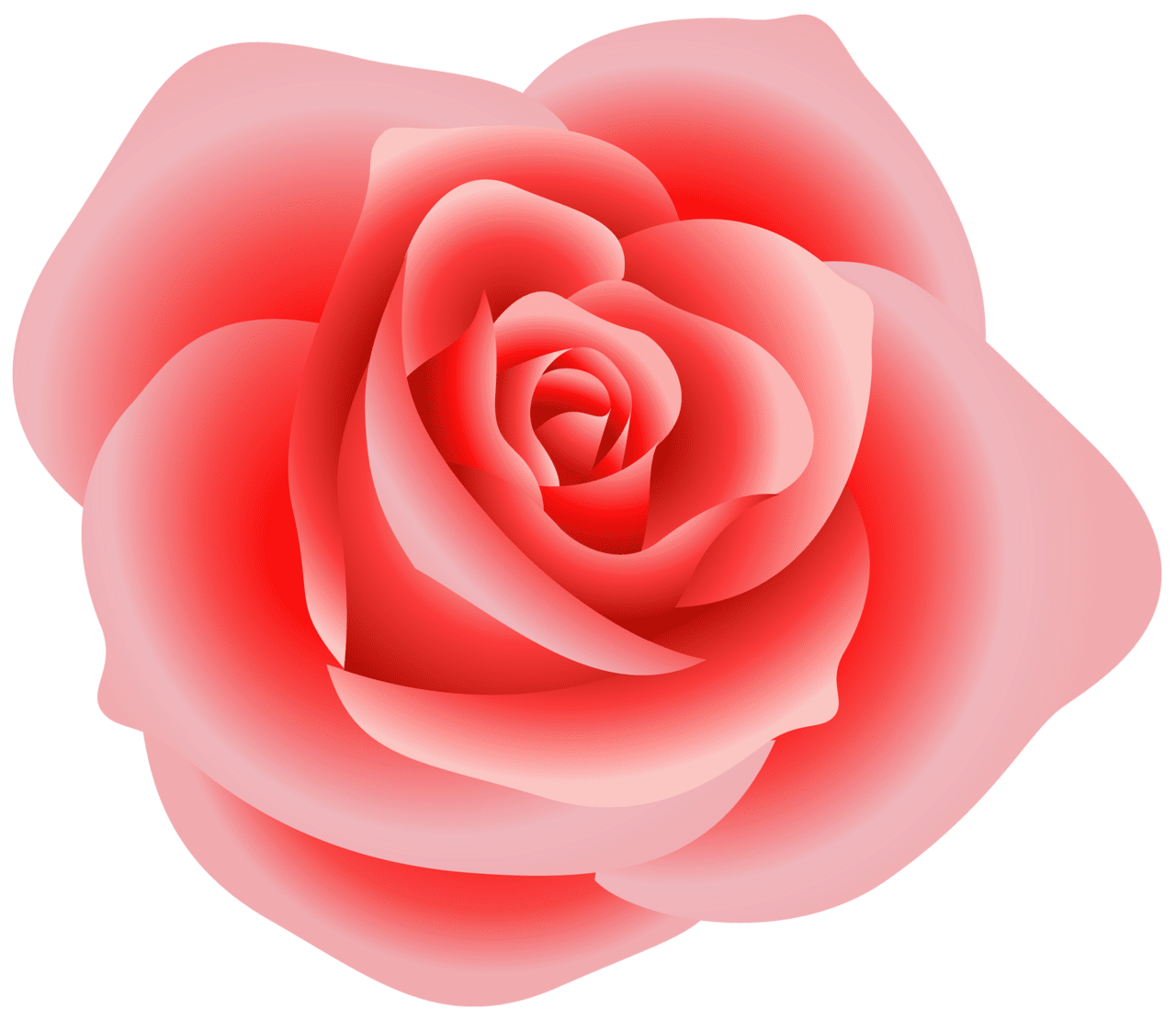 Rose clipart vector images