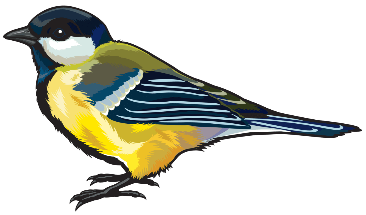 Large bird clipart image