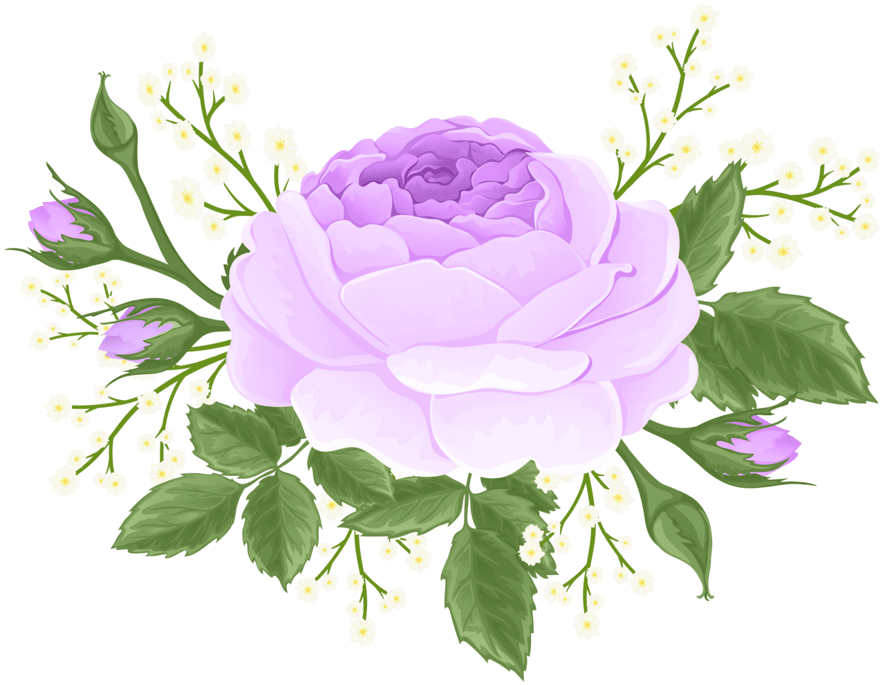 Purple rose with white flowers clipart image