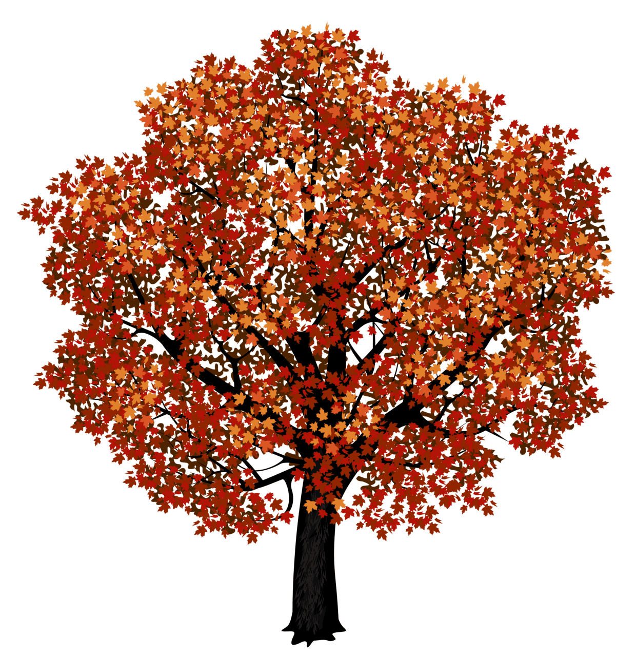 Red maple tree clipart picture