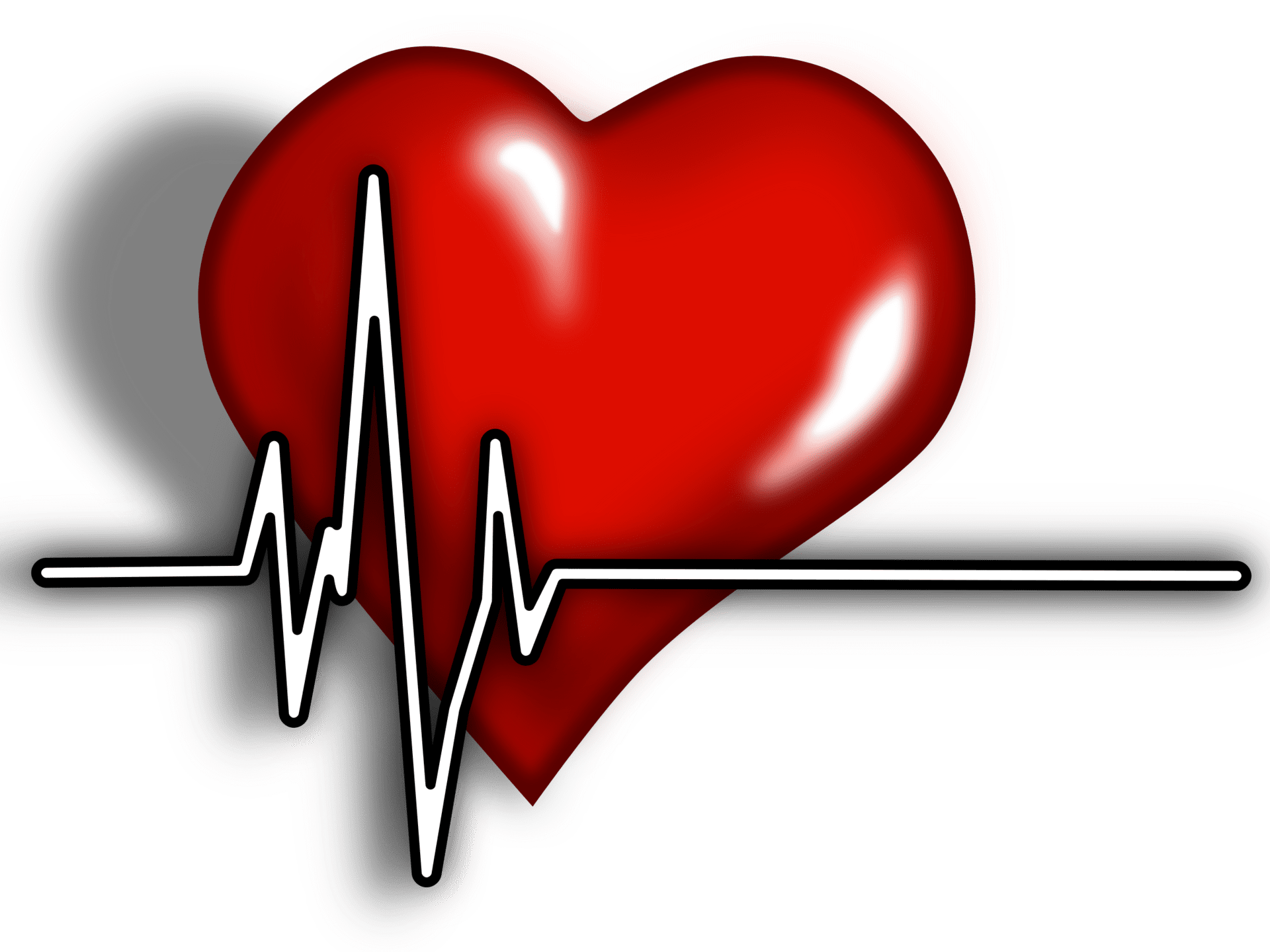 Heart ecg logo clipart