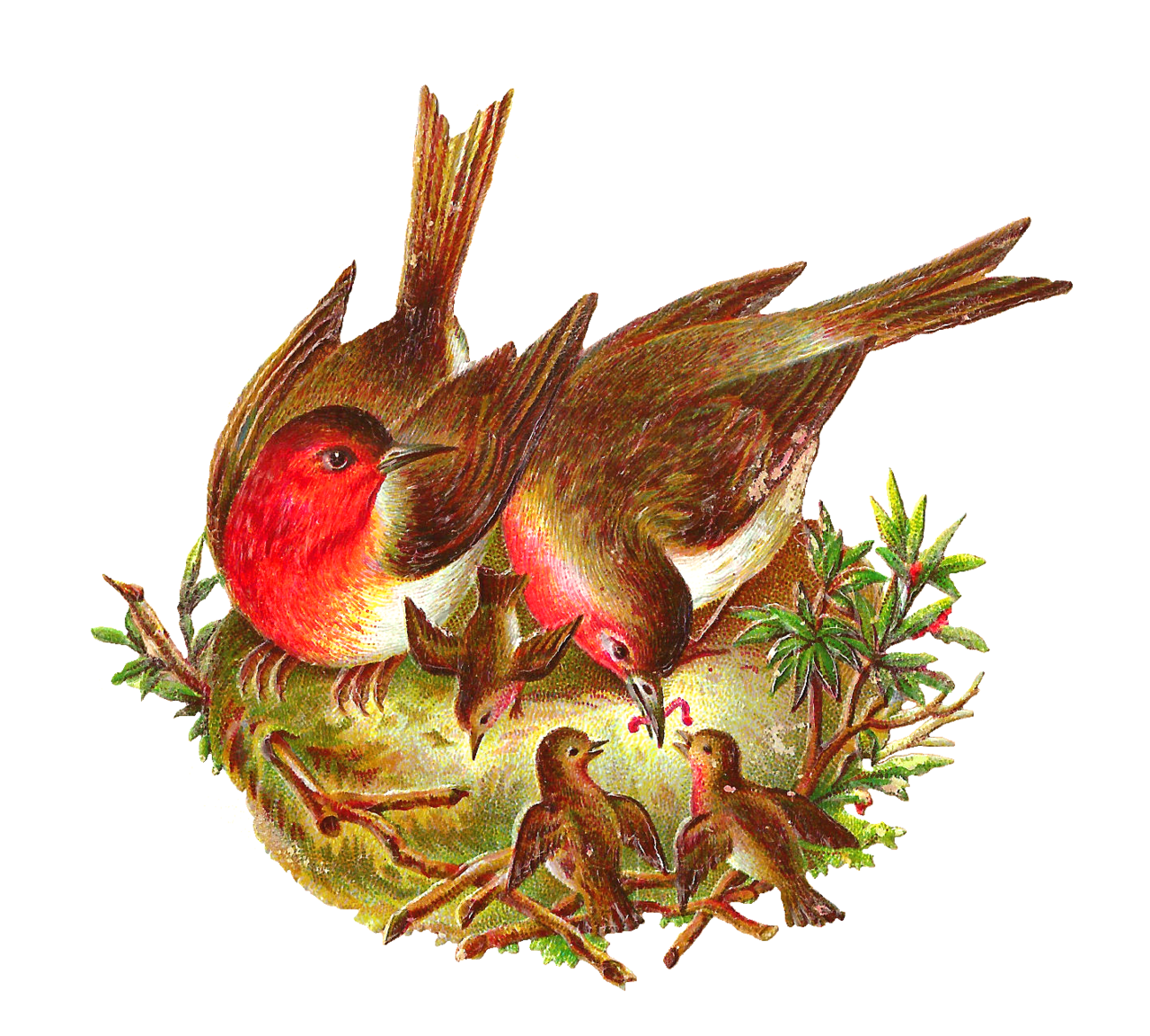 Bird graphic in nest feeding baby worms clipart transparent