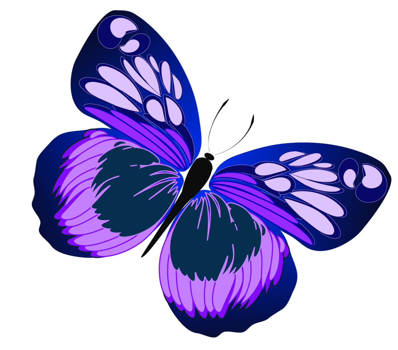 Butterfly clipart pictures