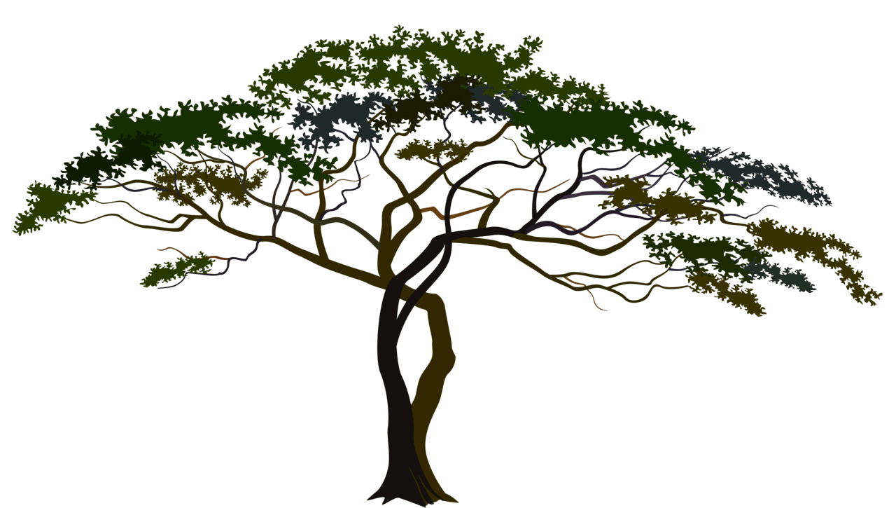 Savannah tree clipart image