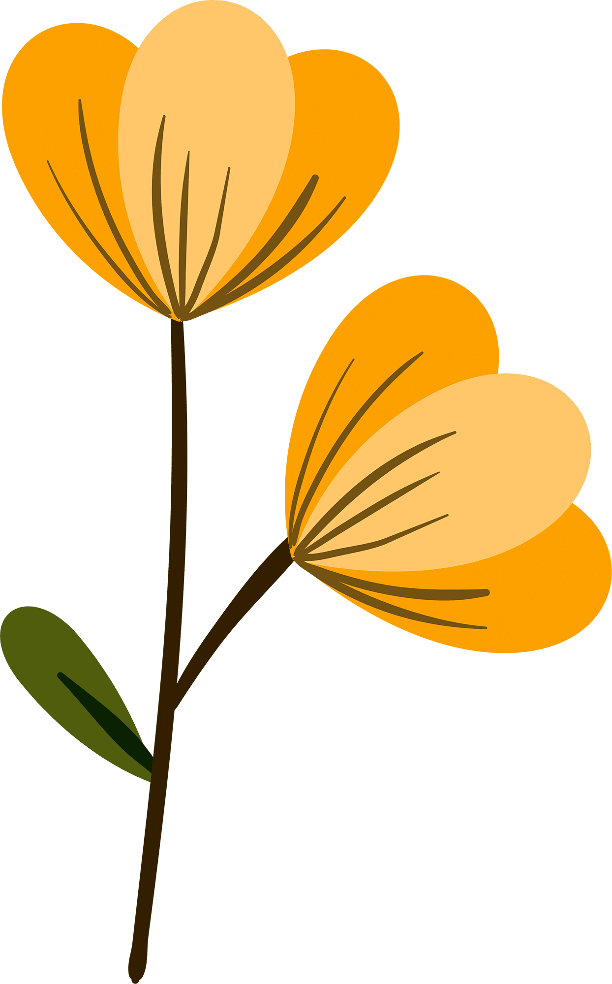 Spr yellow flower clipart picture