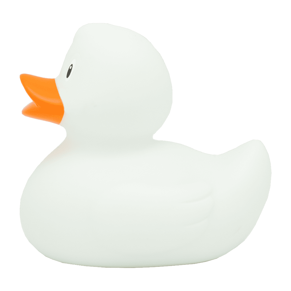 White bber duck images hd photo clipart