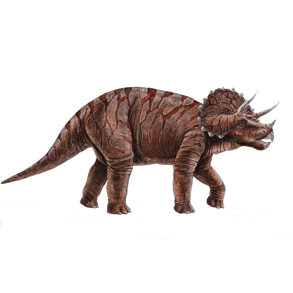 Dinosaur osaur images hd photo clipart