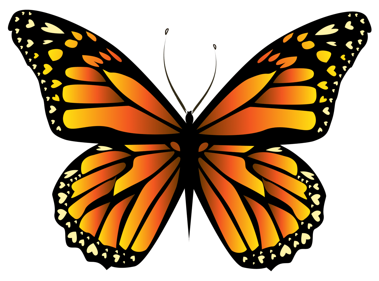 Orange butterfly clipar clipart clip art