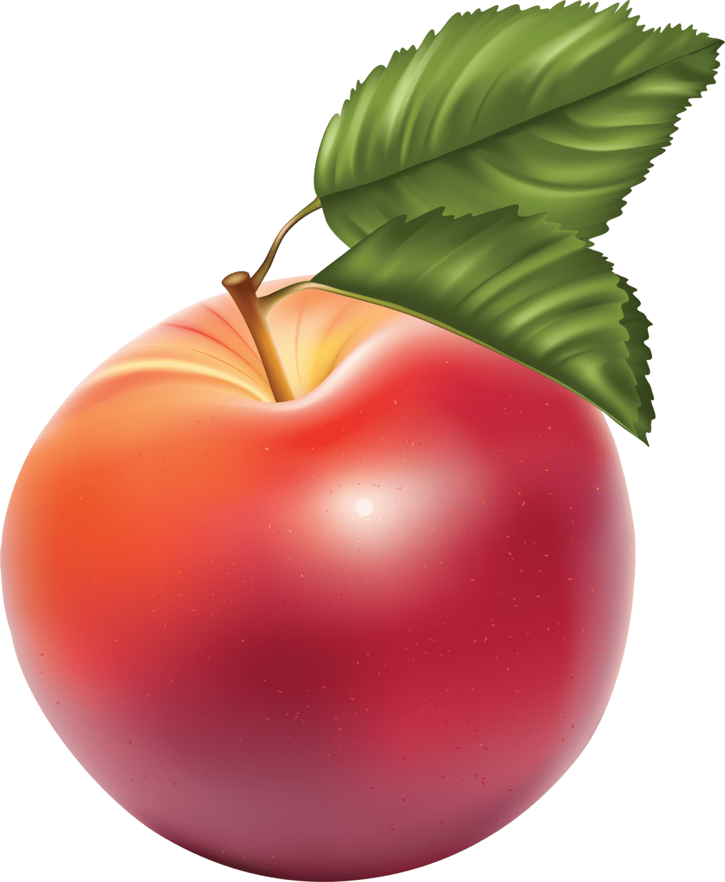 Apple image fruit photography fruits images clipart