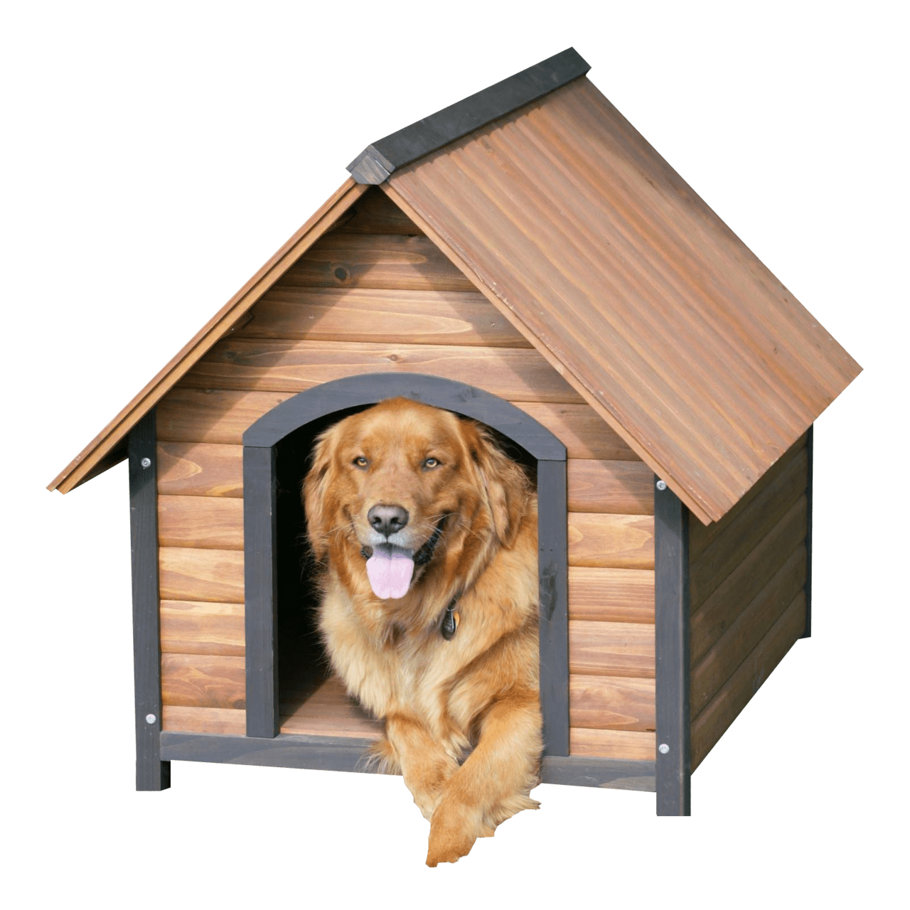 Dog house clipart clip art