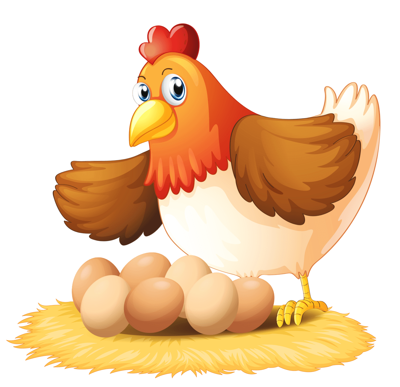 Chicken hen with eggs clipart image