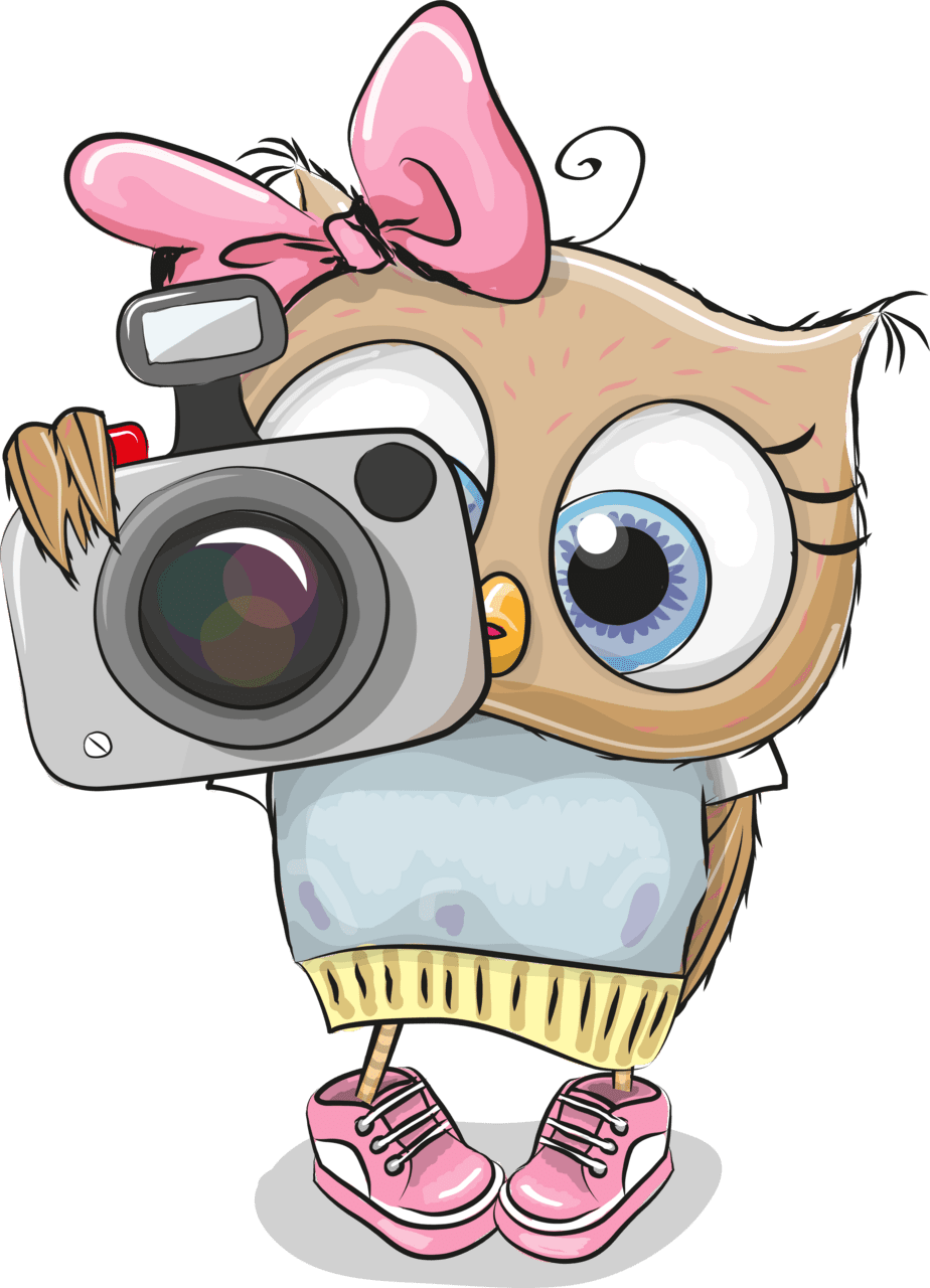 Camera pin by wizard owl clipart cute drawings art transparent