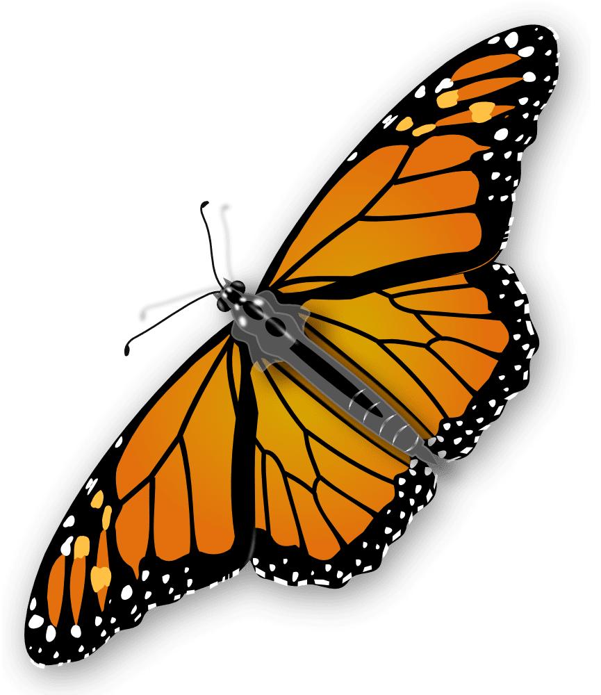 Labels clipart monarch butterfly background