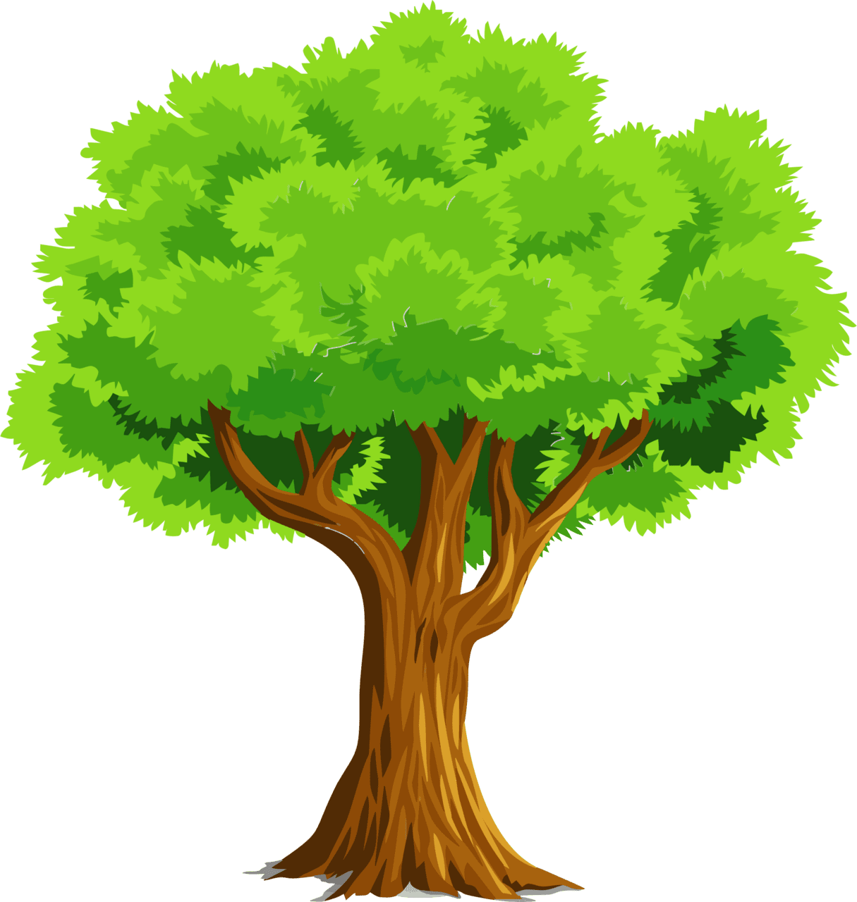 Colorful natural tree clipart photo