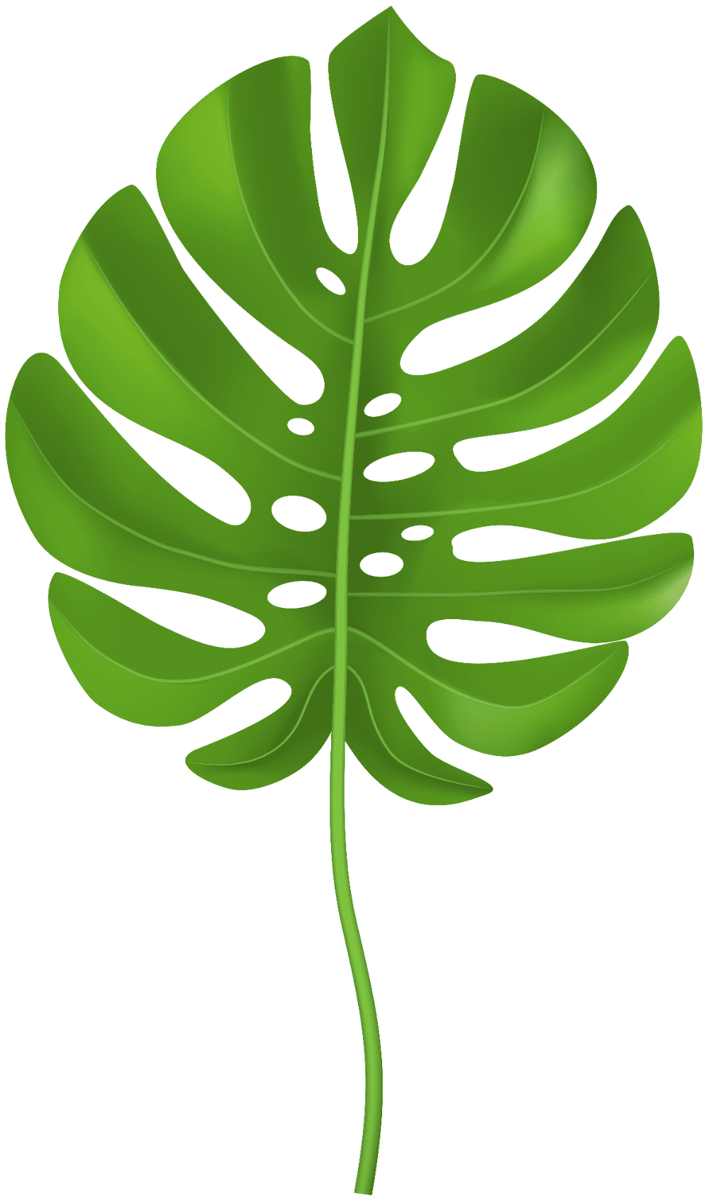 Tropical leaves clip leaf palm tree clipart clip art