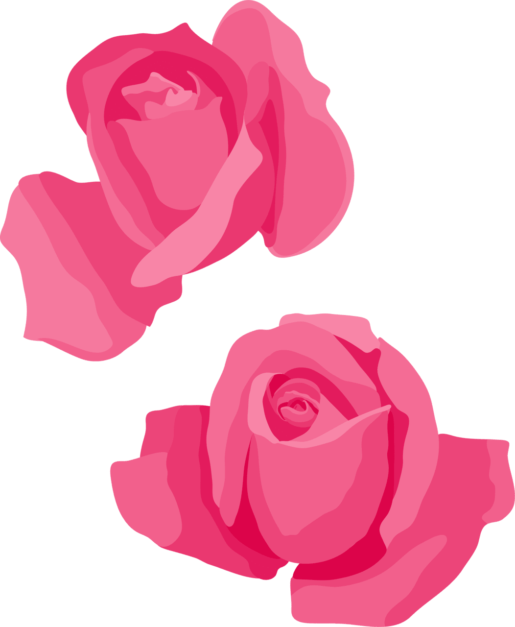 Rose clipart red flower images