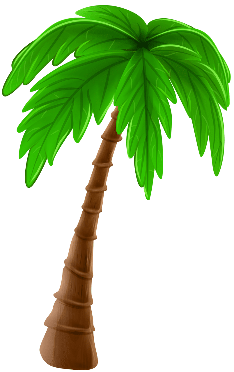 Palm tree leaves clipart yahoo image search results coqueiro desenho ilustra de rvore