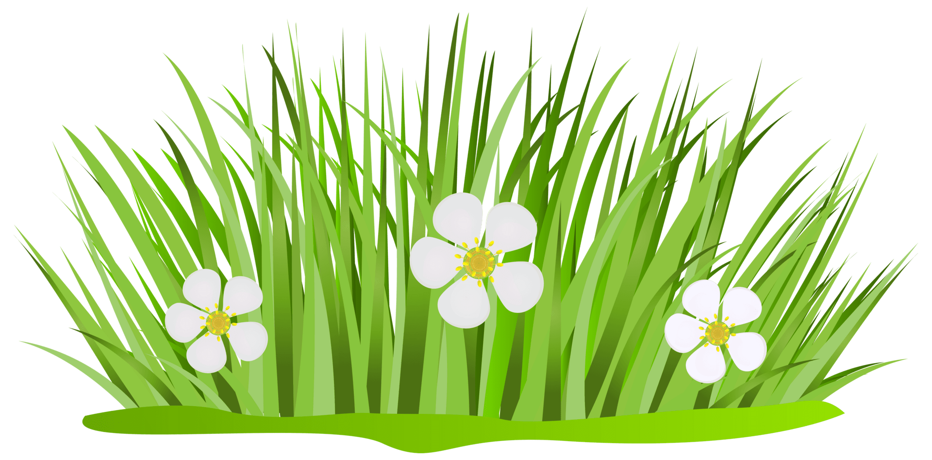 Clipart grass and flower background