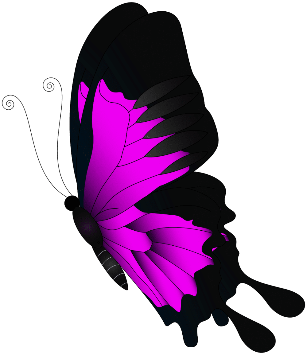 Pink flying butterfly clipart yopriceville high for image