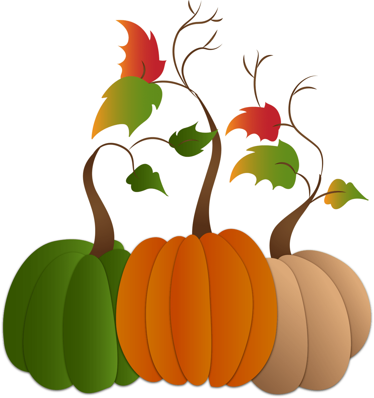 Pumpkin trio thanksgiving clipart transparent