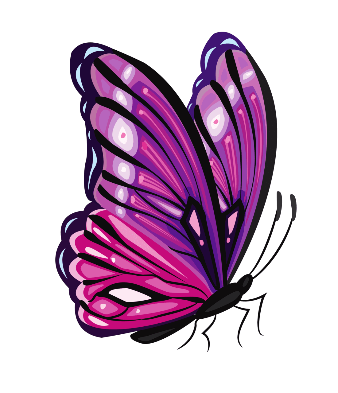 Butterfly pin page clipart free