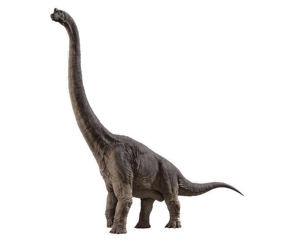 Dinosaur jurassic world brachiosaurus by sonichedgehog deviantart clipart clip art