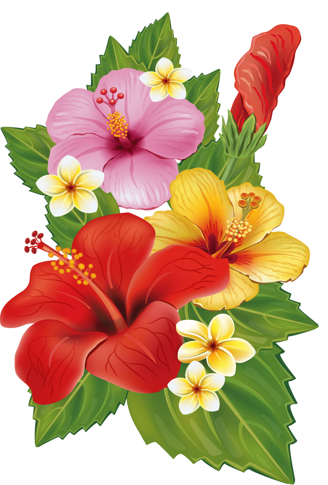 Tropical flowers flower painting clipart vector