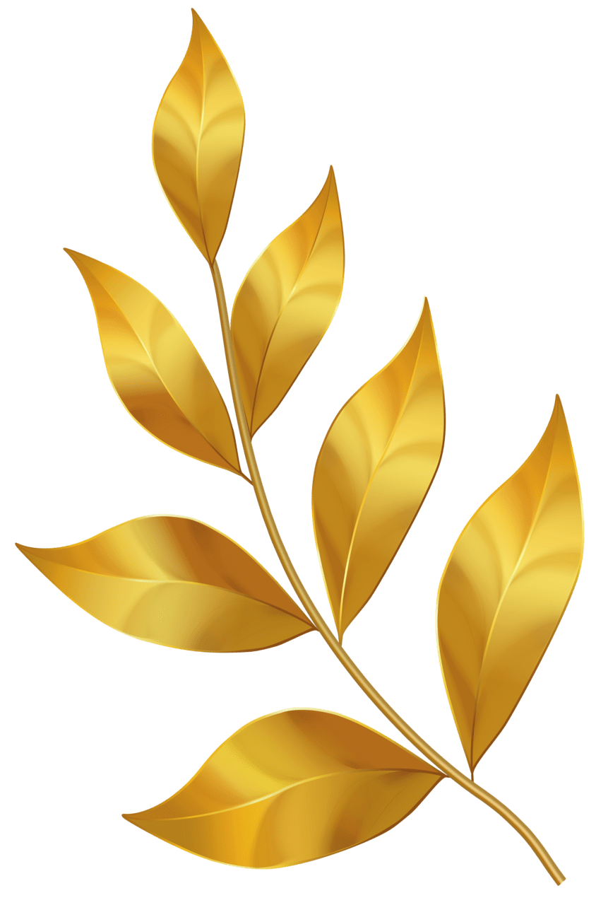 Leaf gold leaves clipart yopriceville high quality for free